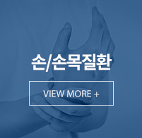 손/손목